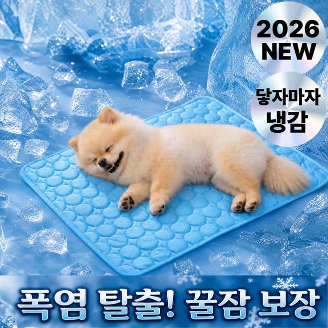 네스펫 강아지 쿨매트 냉감패드 애견쿨방석 대형, 1개, 아쿠아블루