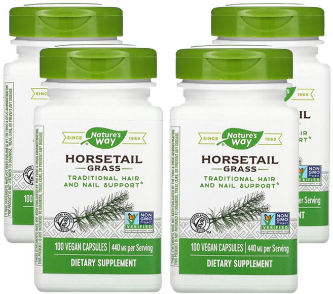 네쳐스웨이 쇠뜨기 440mg 비건 캡슐 100정, 4개 - 쿠팡