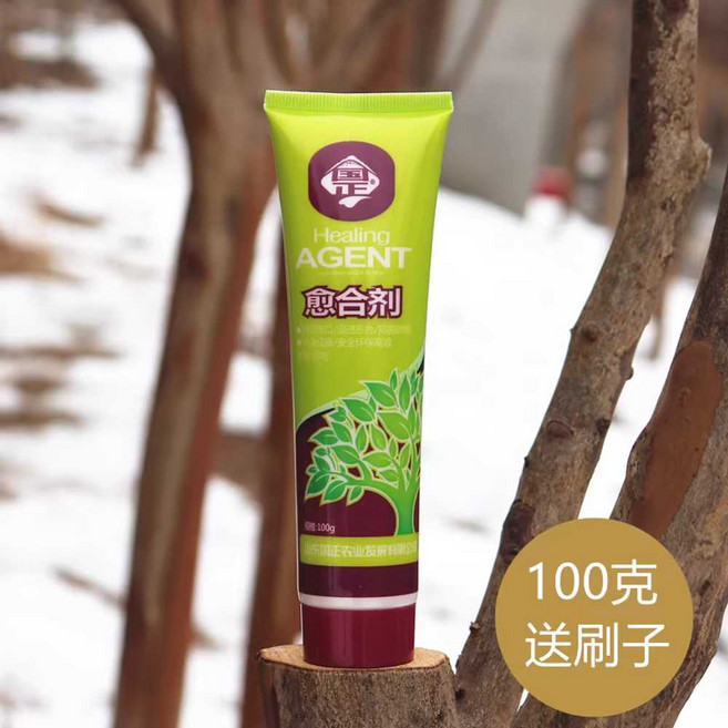 나무연고 톱신페스트 수목 유합제 500g 나무도포제 식물 줄기 상처 접목, 1개