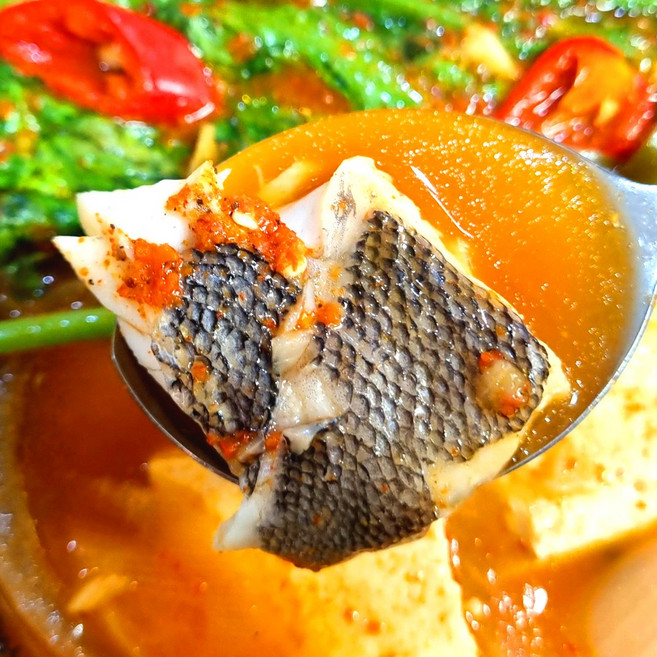 남해안 생 우럭 1kg 손질 조피볼락 우럭회 매운탕 시메, 1개, 탕거리(약750g)
