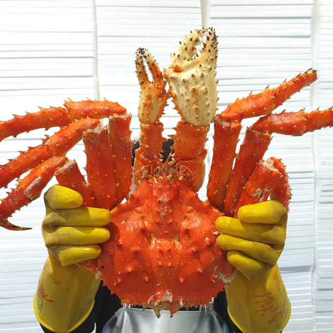 [프리미엄] 수율 80~90% 러시아 레드 브라운 블루 선어 자숙 킹크랩, 1개, 자숙 킹크랩 1.5kg