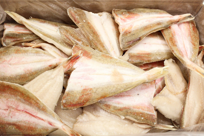 프리미엄 성대 필렛 가성비 업소용 구이용 생선, 1박스, 4kg