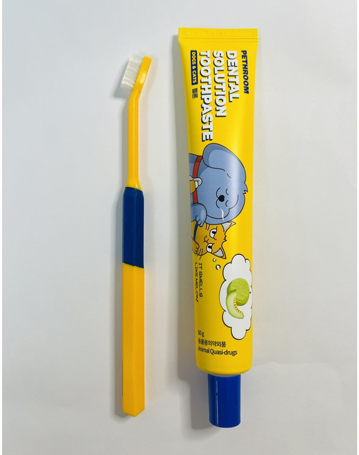 페스룸 반려동물 덴탈 솔루션 세트 M (칫솔M+솔루션치약 멜론향 60g)