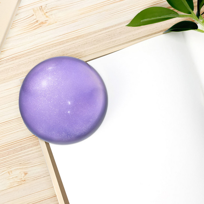 글입다 문학 잉크 문진, 박제가 되어버린 천재(이상)