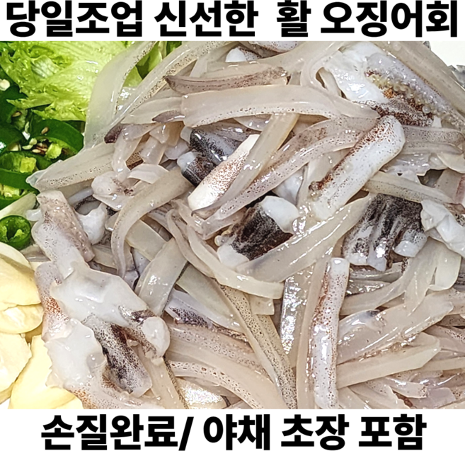산 오징어회 직송 활 오징어회 생오징어회 직송 횟감 오징어, 1세트, 활 오징어회 250g(야채 +초장)