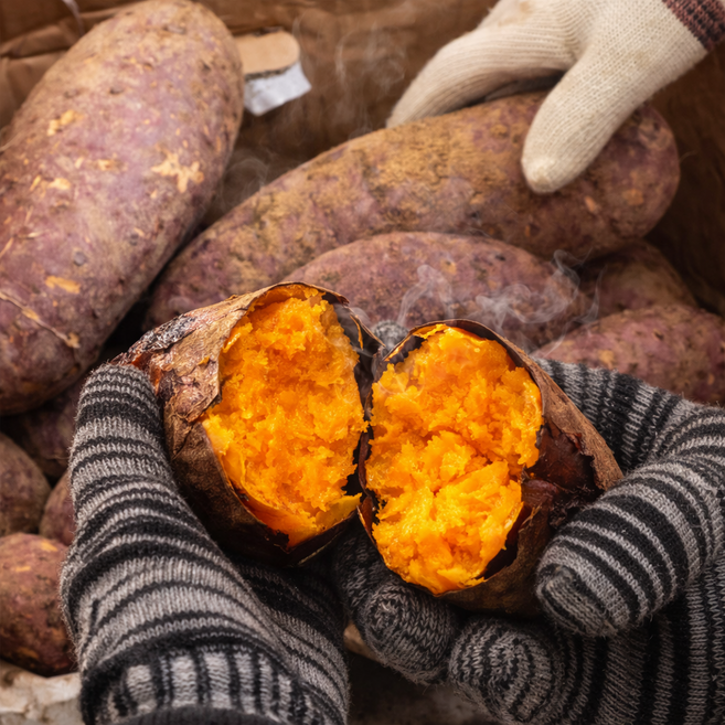 [80%할인초특가] 익산 통으로먹는 꿀먹은 햇 호박 고구마 10KG (특상), 1박스