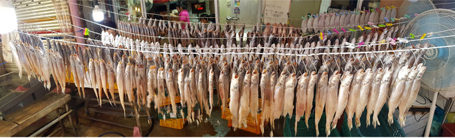 조기37-38 민어 37-38 도미37-38 문어1kg 제수용생선 파는곳 싱싱수산, 문어 국산 800g, 1개