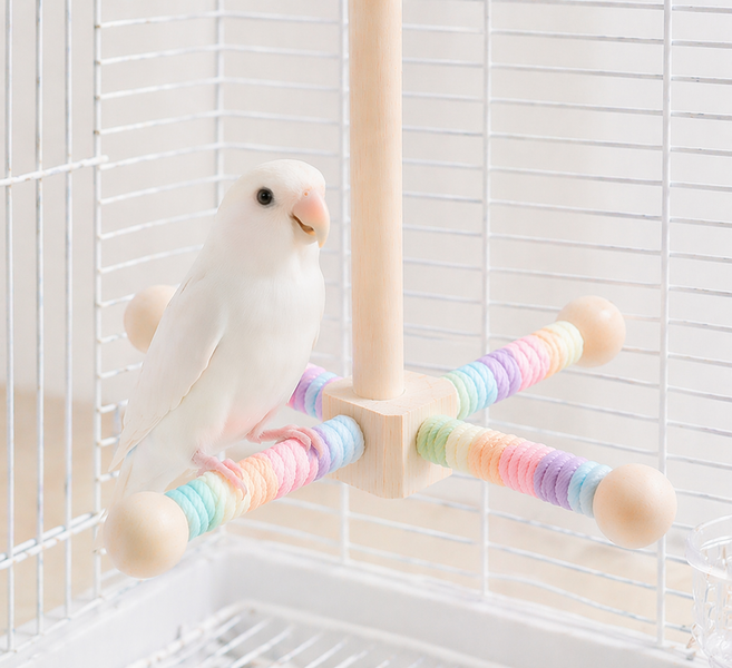 앵무새 횟대 놀이터 코뉴어 왕관앵무 퀘이커 모란, 1개, 블루핑크