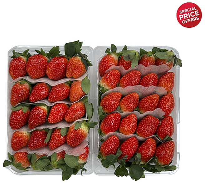 [코스트코] 정말 맛있는 딸기 500g X 2팩