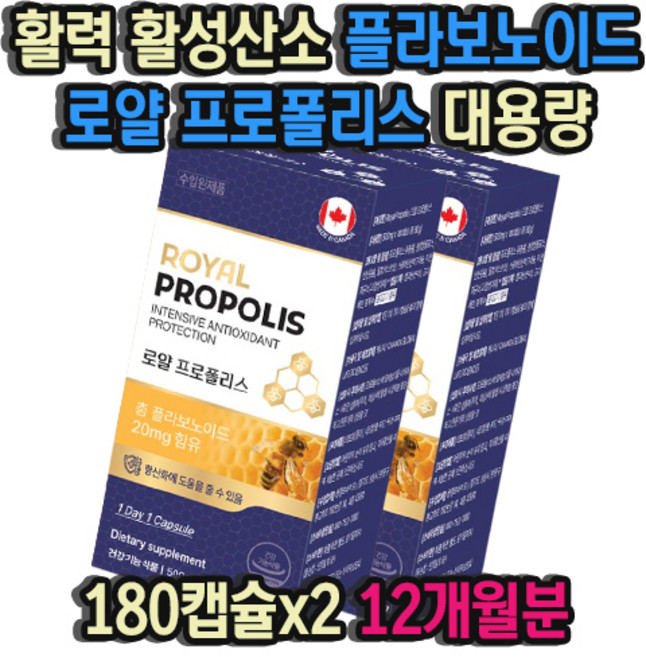 활력 활성산소 플라보노이드 로얄 프로폴리스 대용량 180캡슐x2 12개월분 간편 섭취 유해산소 환절기 건강 항산화 영양제