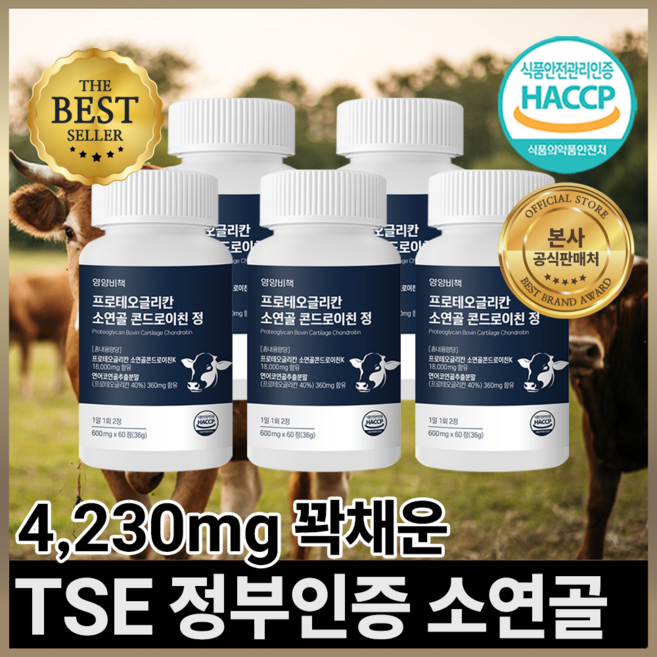 영양비책 프로테오글리칸 소연골 콘드로이친 정, 5개, 60정