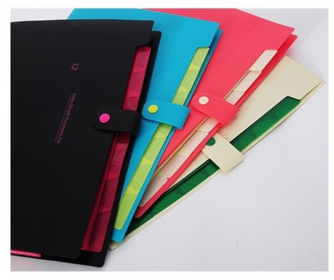 인덱스도큐멘트화일 5분류 8분류 12분류간편 포켓화일 학교문서 서류정리 포켓파일, 12분류 간편 - 블루, 2개