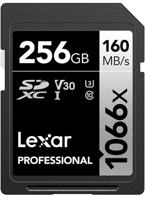 렉사 SD카드 LSD10660 블랙, 256GB, 1개