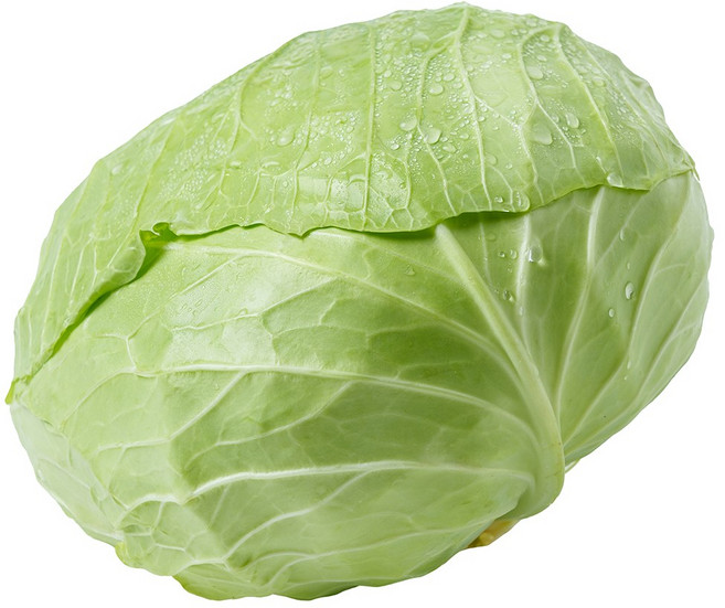 프레시 속이 꽉 차 아삭한 국내산 양배추, 1.5kg, 2개