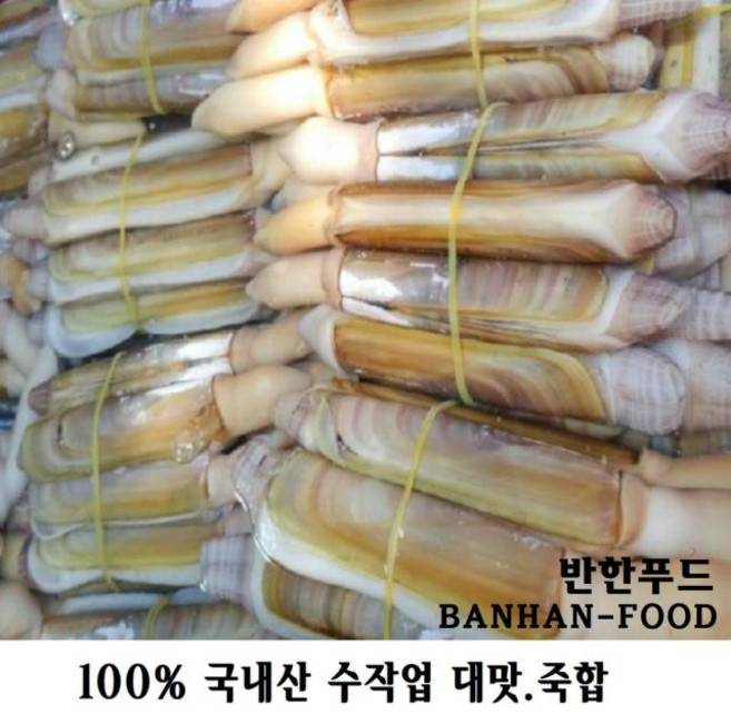 반한푸드(BANHAN FOOD) 반한푸드_국내산100%서해안산 에서 조업하고내장.똥 수작업까지 A급 명품조개 귀한조개 죽합(대맛) 죽기전에 먹어봐야할 조개류로 뽑힌 귀한 조개입니다., 1개
