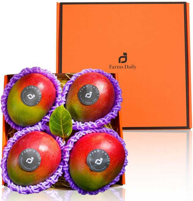 명품 과일선물 당일발송 항공직송 망고 프리미엄 고당도 애플망고 쁘띠 선물세트 (4입 2kg 내외), 1개