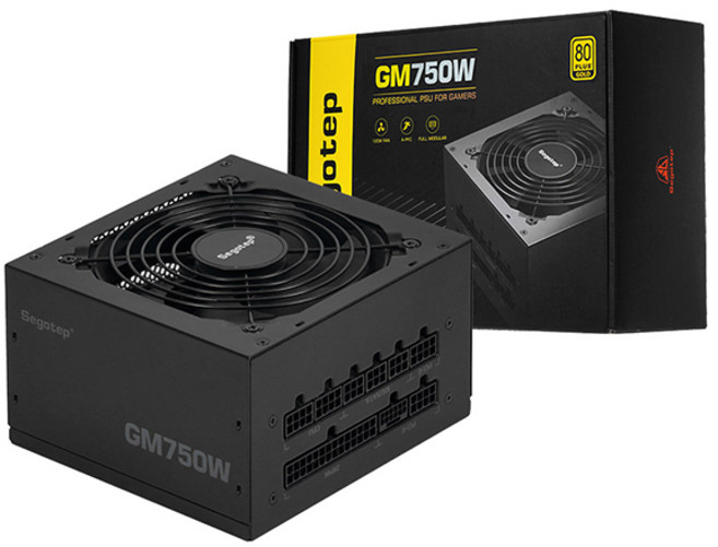Segotep GM750W 80PLUS GOLD 풀모듈러 ATX 3.1 (PCIE5.1) 블랙, 1개