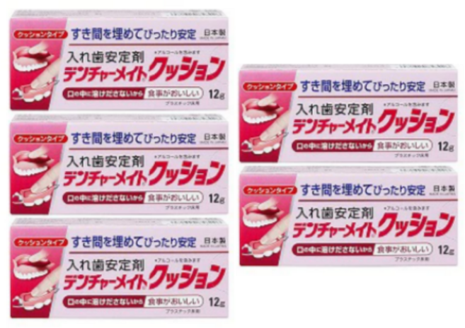 일본 덴처메이트 틀니 접착제 의치 안정제 12g, 12ml, 5개
