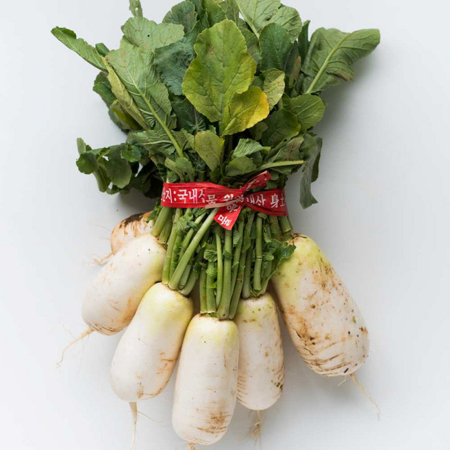 강원도 고랭지 황토밭 알타리무 총각무 무우 2kg-10kg, 1개, 1단 / 약 2kg