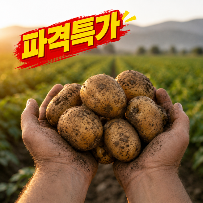 [대박특가] 2026년 포슬포슬한 국내산 햇 감자, 1개, 2kg(중)