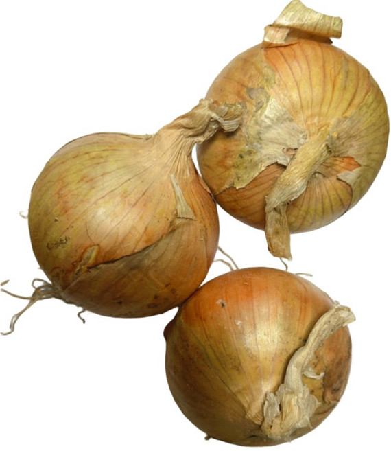 국내산 잘말려 단단한 무안 햇 양파 3kg 5Kg 10Kg 소중 혼합 /중대 혼합/ 특, 1개, 5kg 중대 혼합