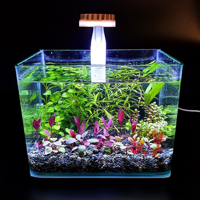 수초가득어항 세트(미니 소 중 대) 무환수 테이블용 수초항, 수초가득어항세트소(22x15x17cm), 에그스톤(20~30mm)1kg, 1개