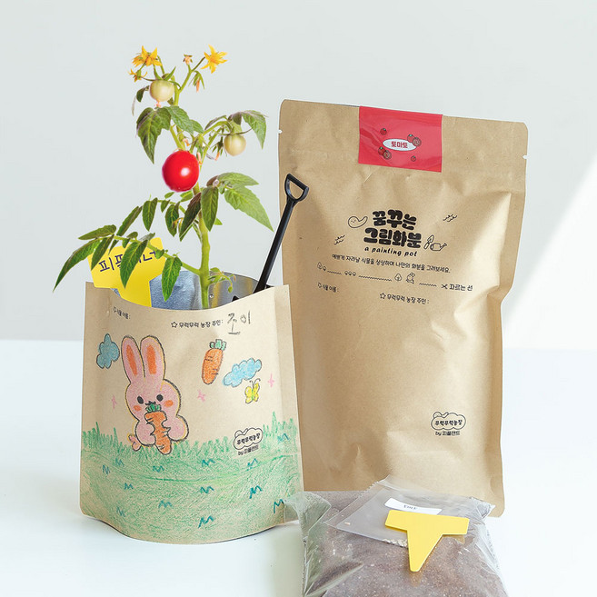 피플랜트 방울토마토 씨앗 키우기 그림화분 식물 키우기 세트 화분키트 원예수업, 방울토마토 꿈꾸는 그림화분키트
