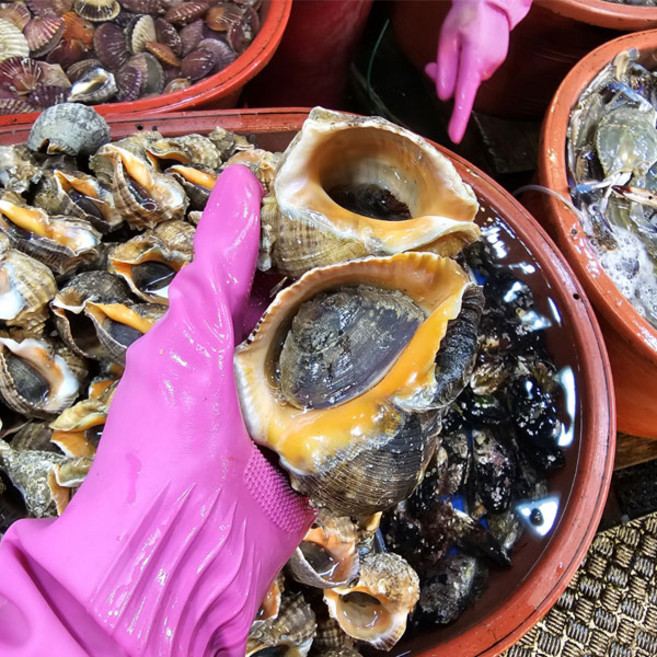 국내산 랜덤 참소라 1kg(8~15미), 1개, 1kg
