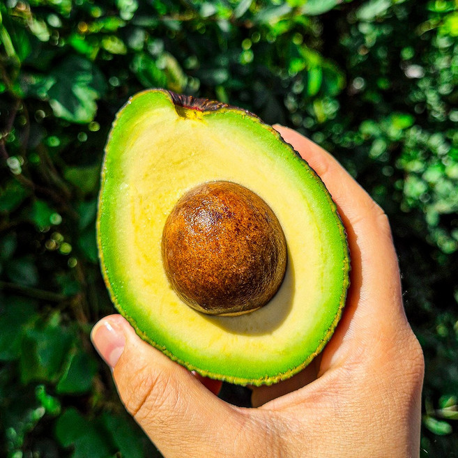 프리미엄 아보카도 대과 신선 생과일 샐러드용, 1개, 1kg (4~6입)