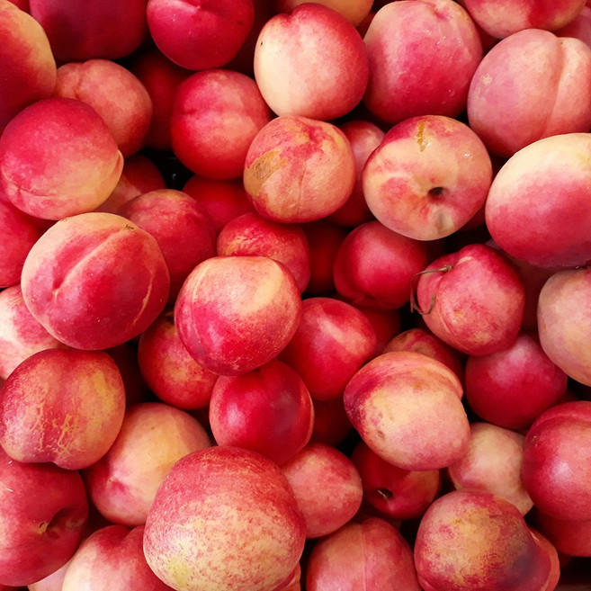 복숭아 F.O (알러지 프리), 1개, 1L