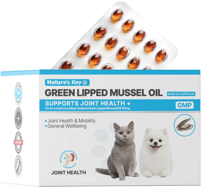 네이쳐스키 강아지 고양이 관절영양제 초록입홍합오일 50mg, 1개, 뼈/관절강화, 75정 - 쿠팡