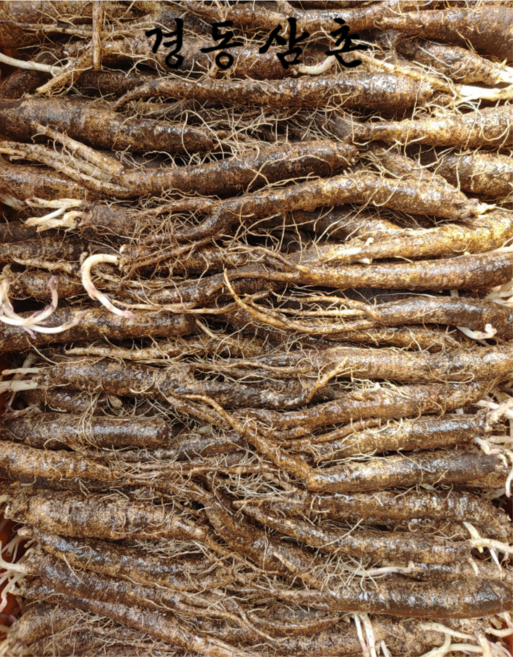 경동삼촌 더덕 제주도더덕 햇더덕 흙더덕 (왕/특/상/중), 1개, 제주더덕 상사이즈 1kg