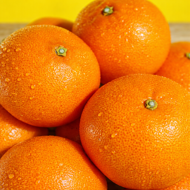 [한정특가] 재구매율1위 꿀달달 제주천혜향, 1박스, 3kg