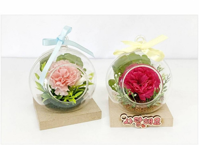 카네이션 테라리움 만들기 1인세트(원목받침) 어버이날 스승의날 diy 키트 교구 단체 부모님 선물