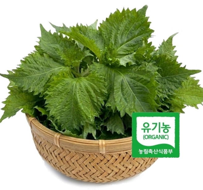 초록초록팜 유기농 시소깻잎 500g 국내산 오오바 허브채소 초밥 사시미 일식재료 쌈채소 친환경 ZU, 없음
