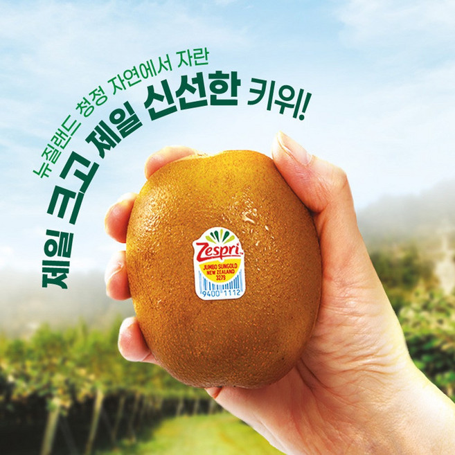 제스프리 골드키위 대왕점보(155g내외) 선물세트, 3100g, 1개