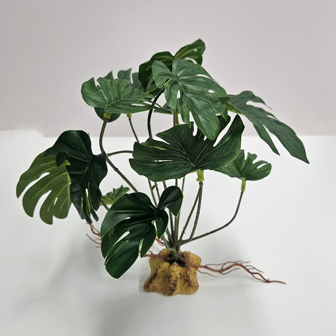 크레마루 스탠딩 조화 장식, 몬스테라