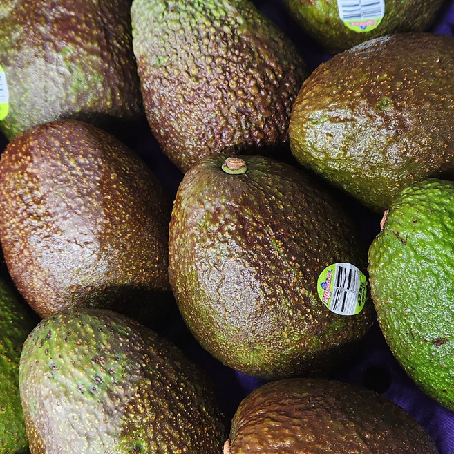 못난이 아보카도, 180g, 10개