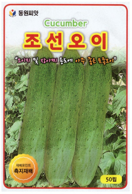 동원 조선 오이 씨앗 50립, 1개
