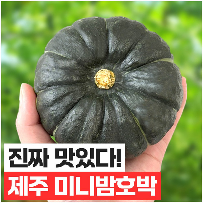 푸드지 산지직송 달콤한 미니밤호박, 1개, 4kg