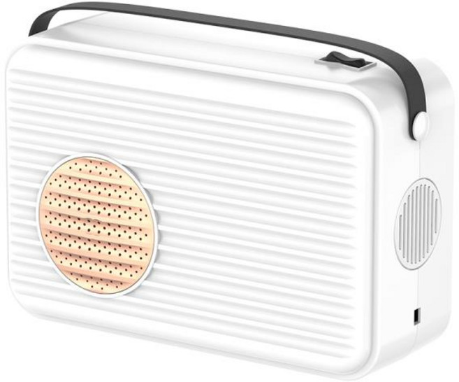 DMWD 가정용 전기 의류 건조기 개폐식 신발 건조기 휴대용 양말 히터 이불 워머 건조 가방 포함 220V, 한개옵션2, 06 Basic White