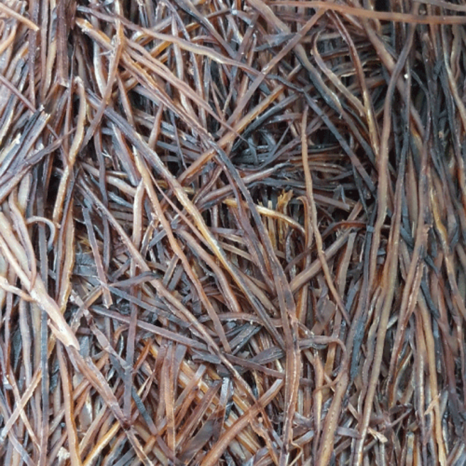 부드러운 쫄쫄이 오징어 귀채 400g