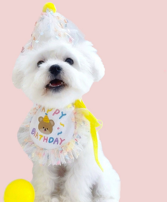 하피블리 강아지 고깔 생일 파티 용품 고양이 생일상, 1개