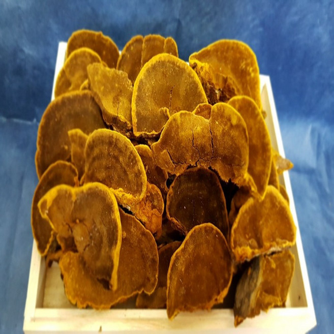 상황버섯 재배아님 국산 야생 그대로 국내 자연산 상황버섯50g, 갓형태 상황버섯50g (고급형), 1세트