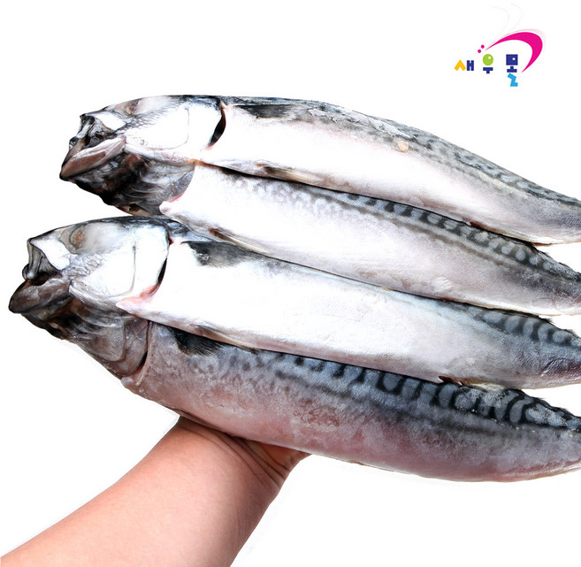 새우몰 노르웨이 간고등어 특대 8미 3kg내외 저염 자반고등어, 1개