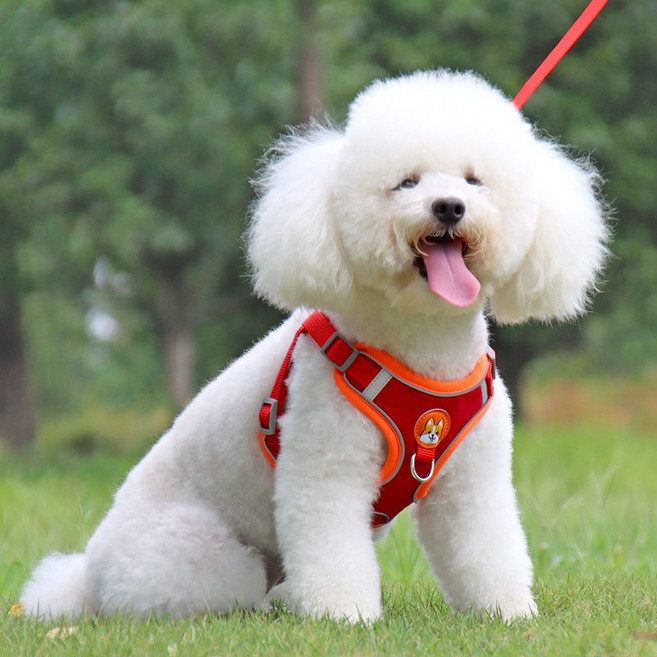강아지 반사 가슴밴드 조끼형 견인줄 세트, 1개, 붉은색