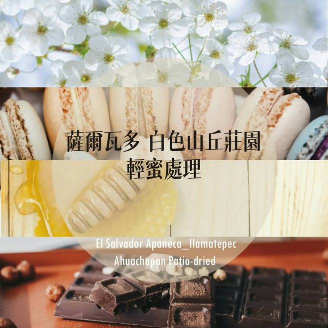 好日Coffee Roaster 薩爾瓦多 白色山丘莊園 輕蜜處理 淺中焙 咖啡豆 手沖 精品咖啡, 1個, 半磅｜227公克