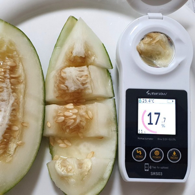 [당도 보장 Brix 17이상] 파파야메론 설향메론 하미과멜론 칸달로프메론 GAP 인증 농가 경북 고령 농가에서 수확 배송 원칙, 1개, 특품 파파야 메론 2kg (3~5과 내외)