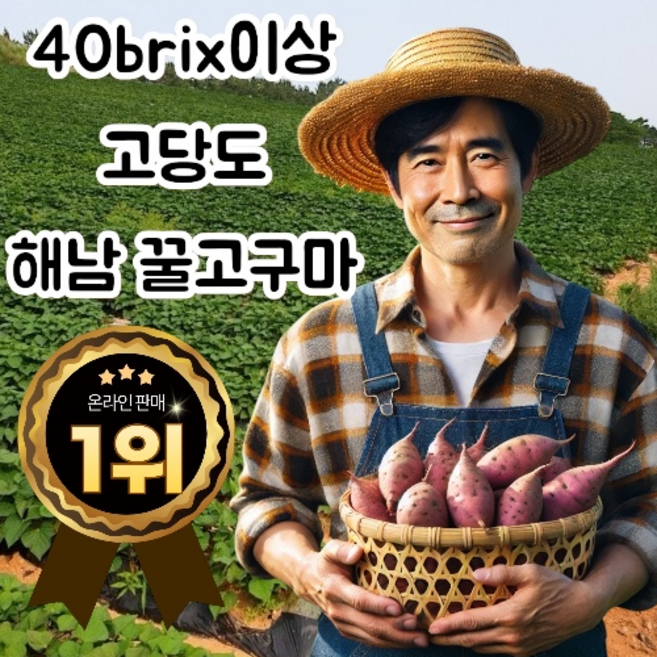 (제철픽마켓)해남꿀고구마 베니하루카 세척고구마 로얄사이즈 해남고구마 당도보장 산지직송, 1박스, 중상 5kg