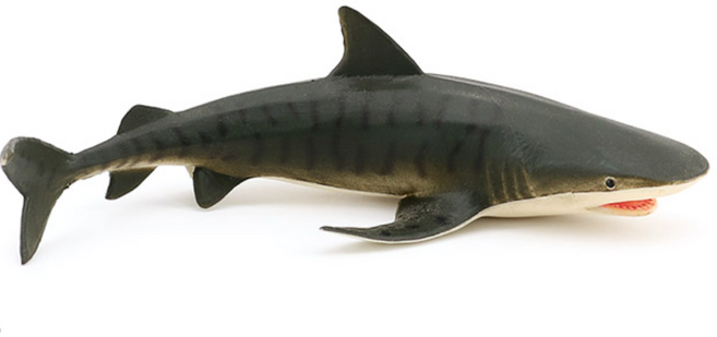 제트피규어 뱀상어 피규어 장난감 바다 해양 동물 생물 모형, 1개